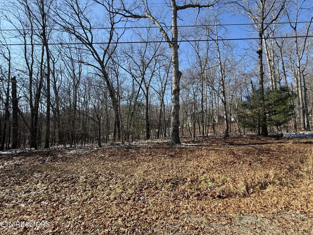 116 Kings Down Drive Crossville TN 38558