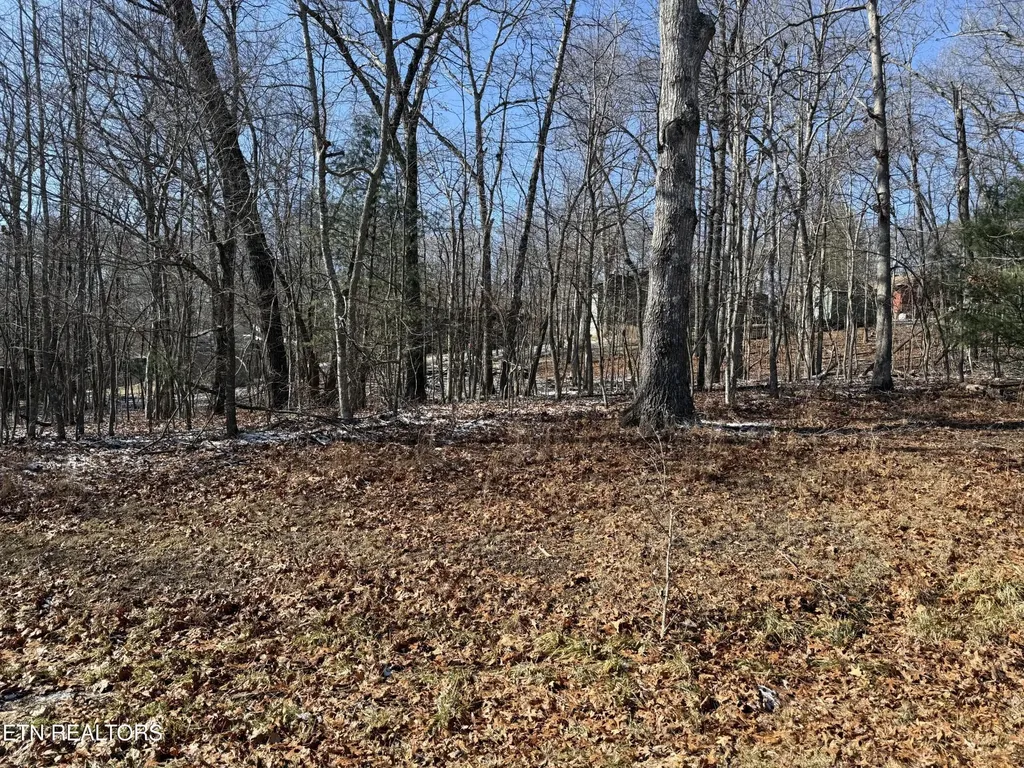116 Kings Down Drive Crossville TN 38558