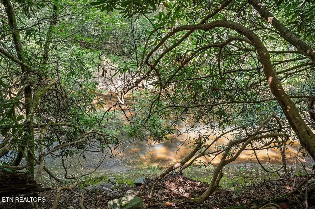 469 Ferry Bend Trail Crossville TN 38571