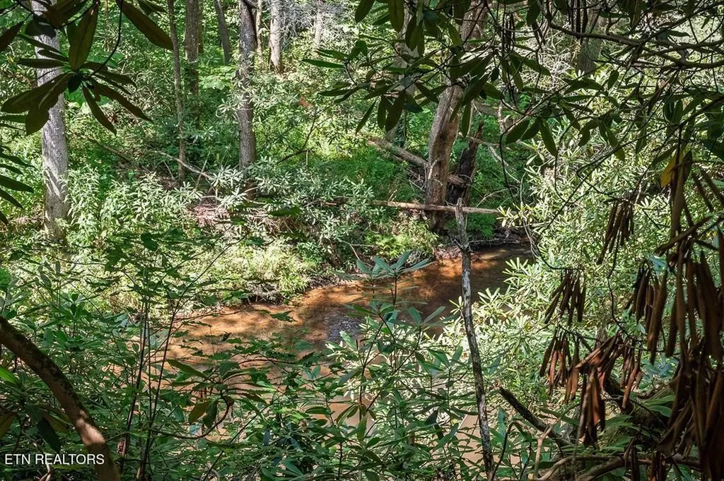 469 Ferry Bend Trail Crossville TN 38571