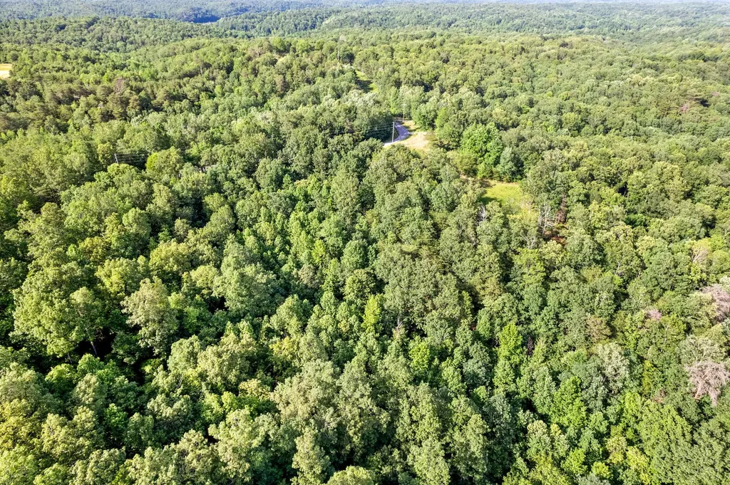 0 Highwater Road Waverly TN 37185