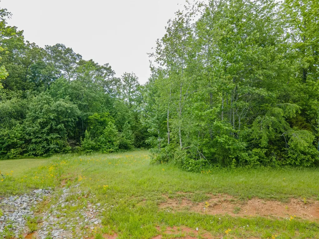 0 Cedar Grove Drive Fayetteville TN 37334
