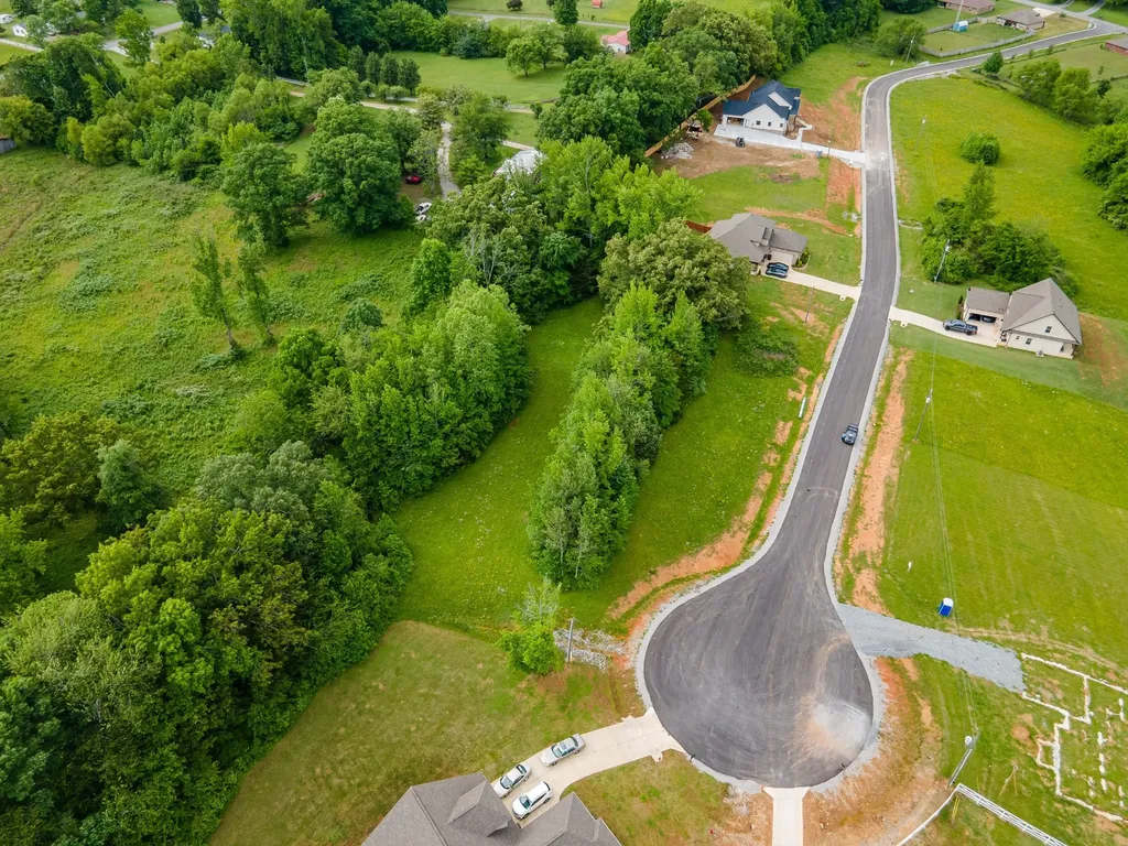 0 Cedar Grove Drive Fayetteville TN 37334