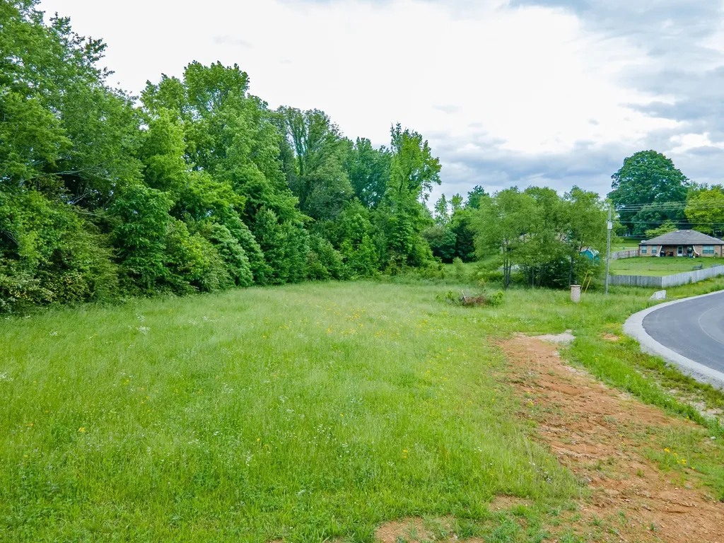 0 Cedar Grove Drive Fayetteville TN 37334