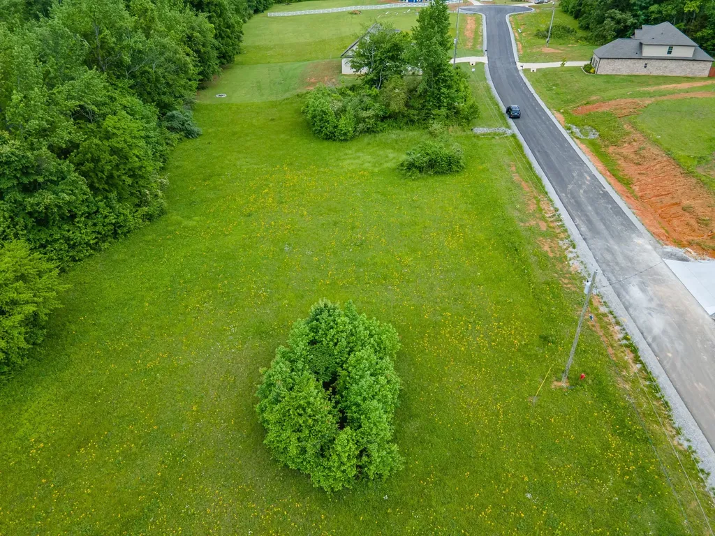 0 Cedar Grove Drive Fayetteville TN 37334