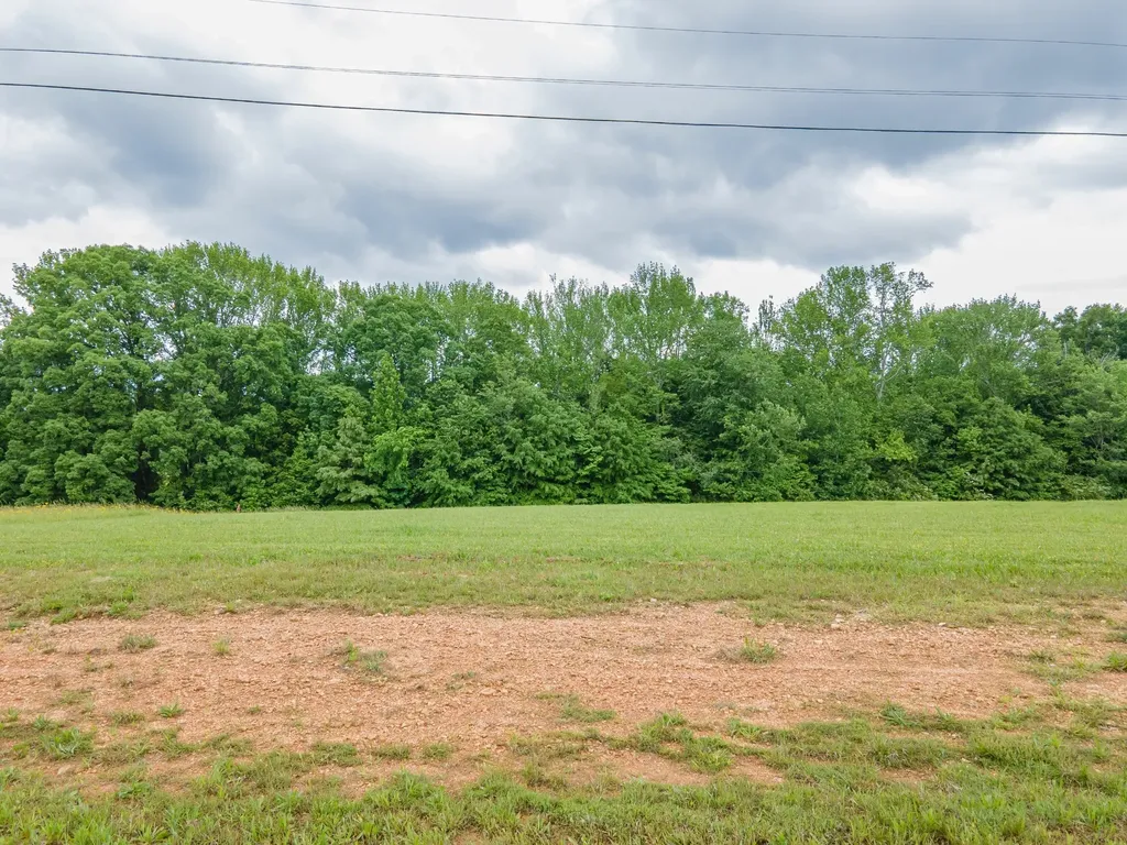 0 Cedar Grove Drive Fayetteville TN 37334