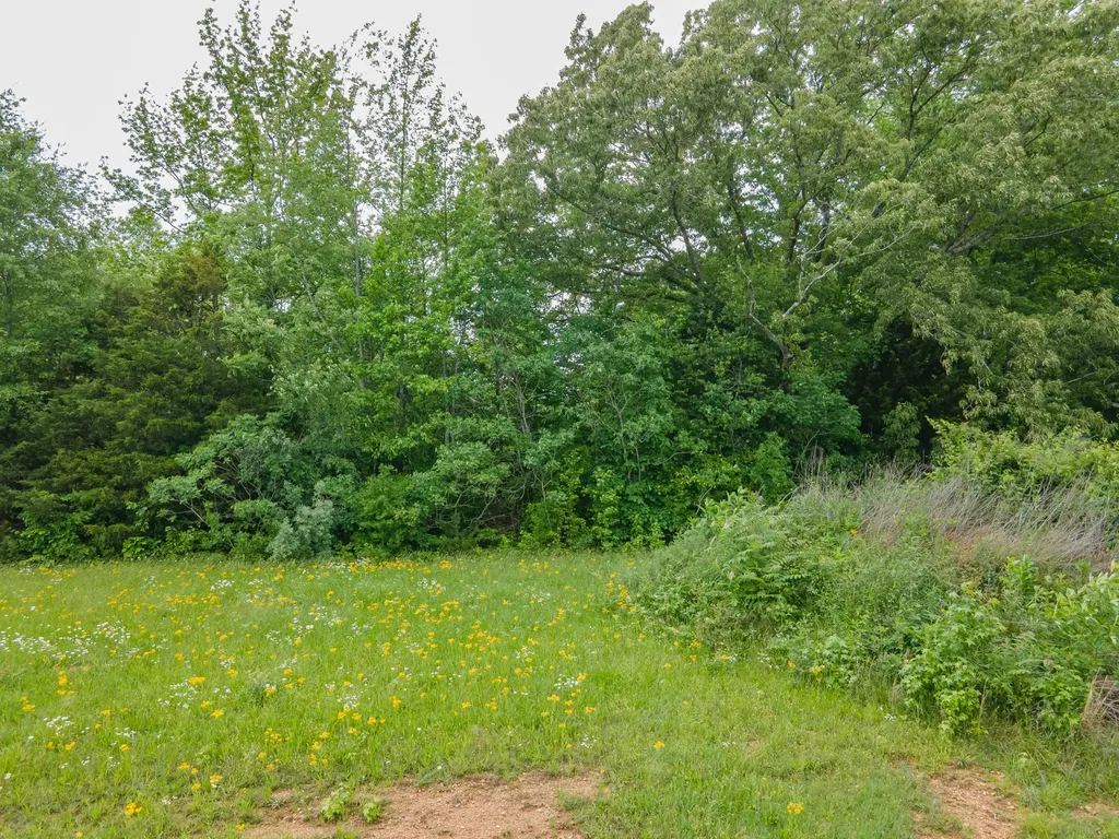 0 Cedar Grove Drive Fayetteville TN 37334