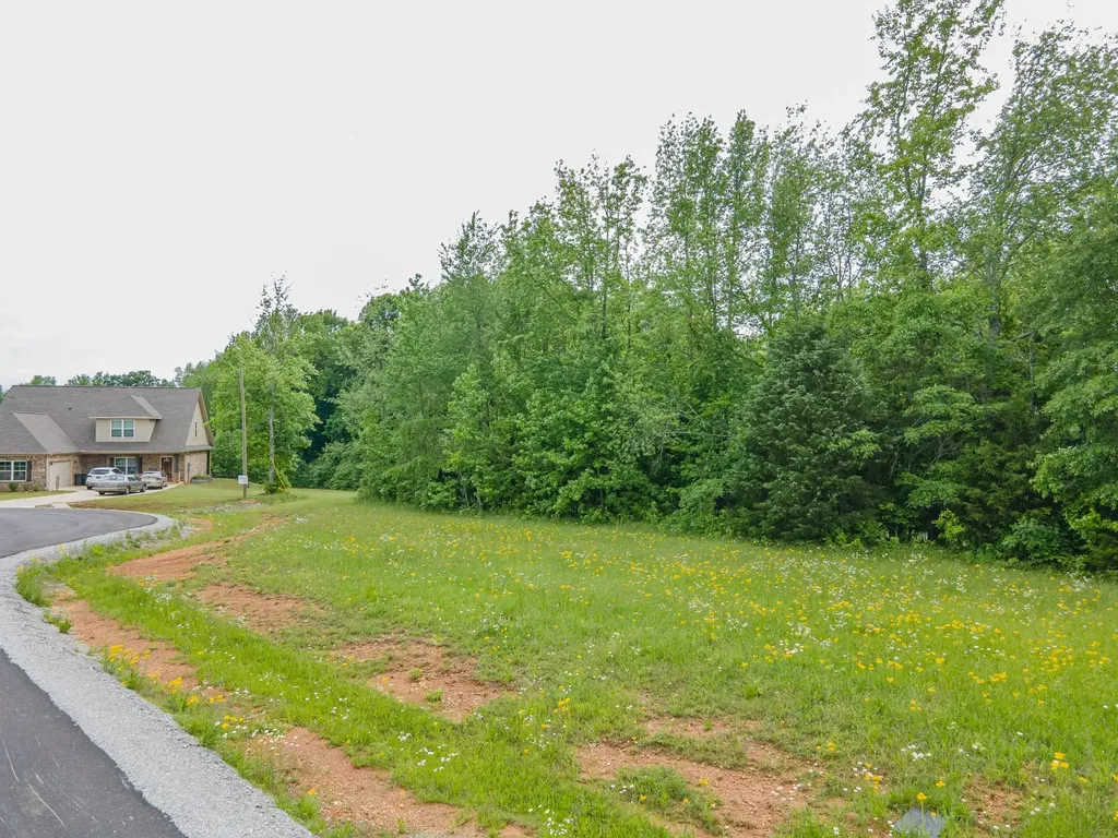 0 Cedar Grove Drive Fayetteville TN 37334