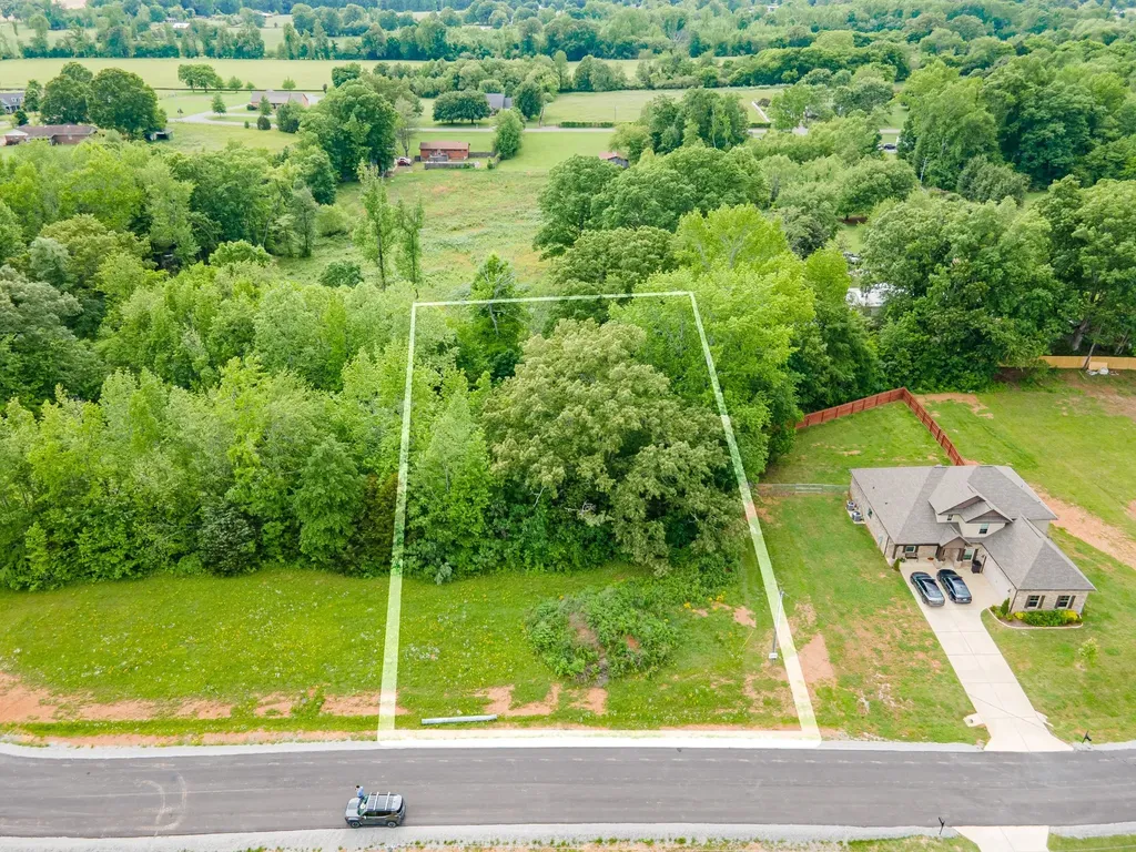 0 Cedar Grove Drive Fayetteville TN 37334