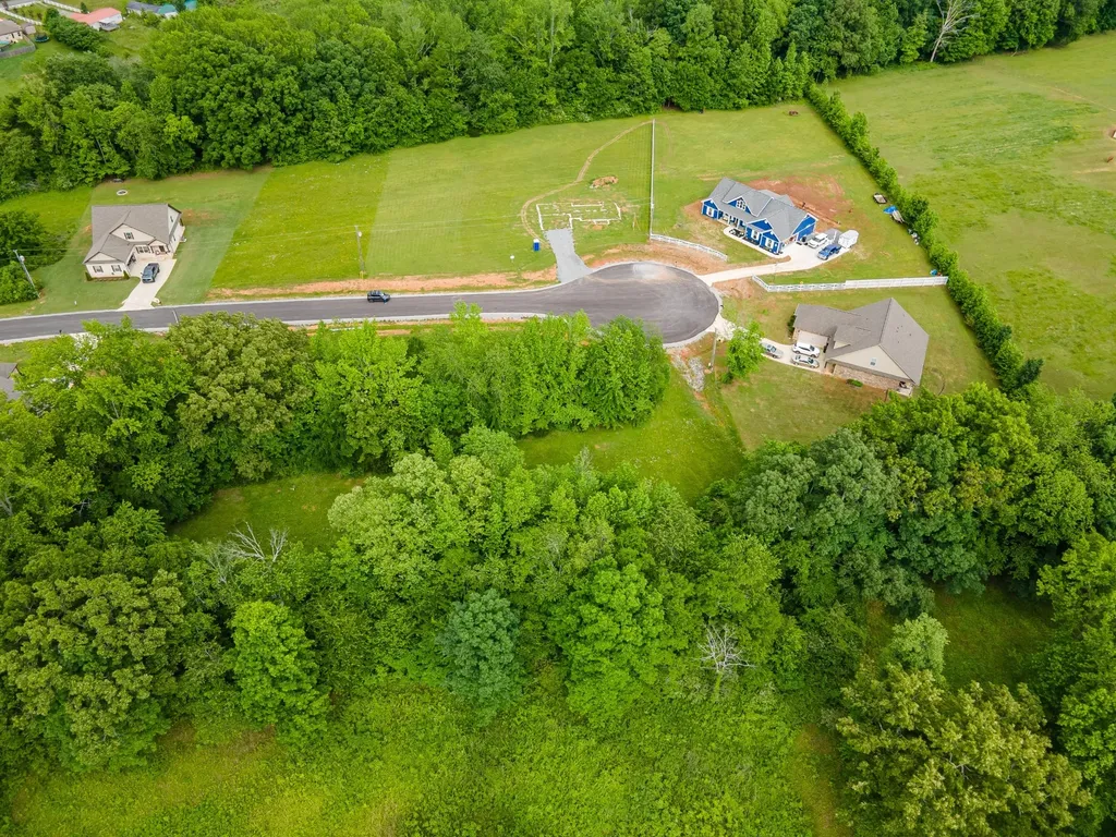 0 Cedar Grove Drive Fayetteville TN 37334