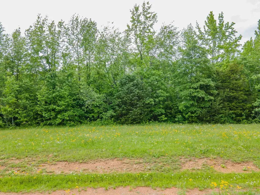 0 Cedar Grove Drive Fayetteville TN 37334