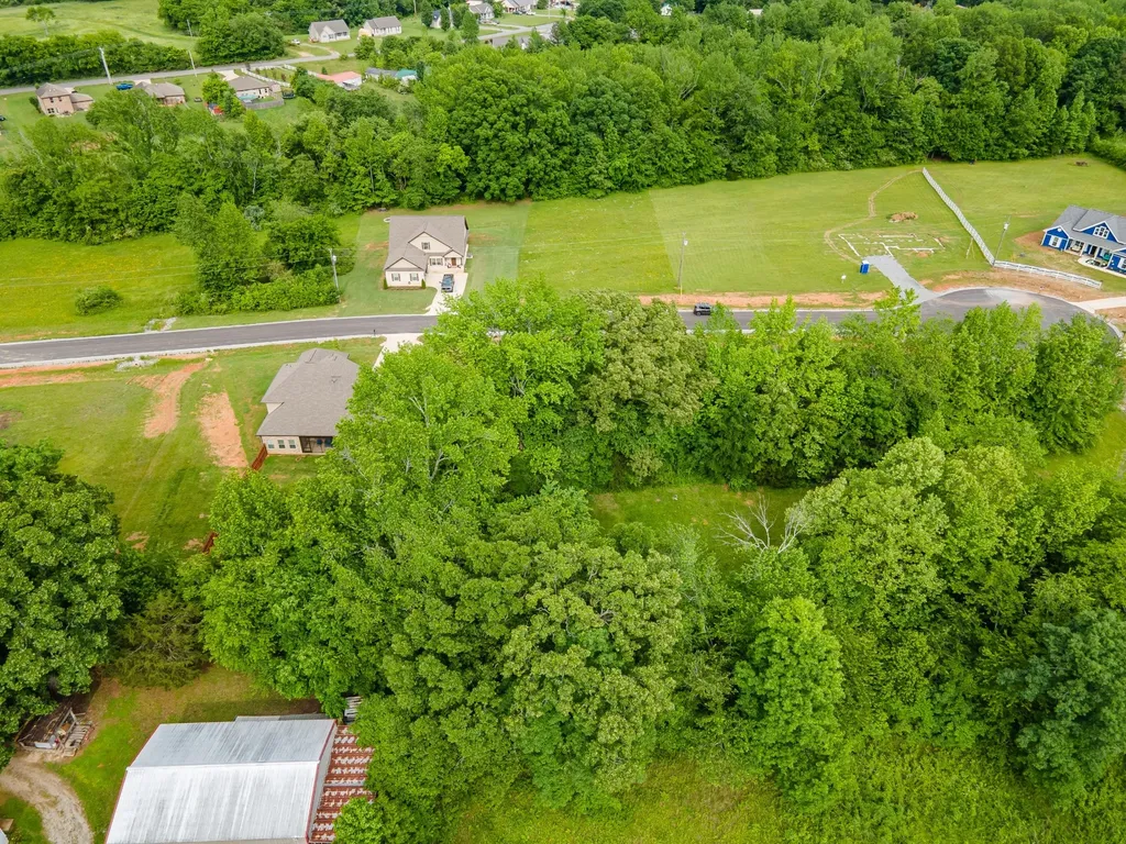 0 Cedar Grove Drive Fayetteville TN 37334