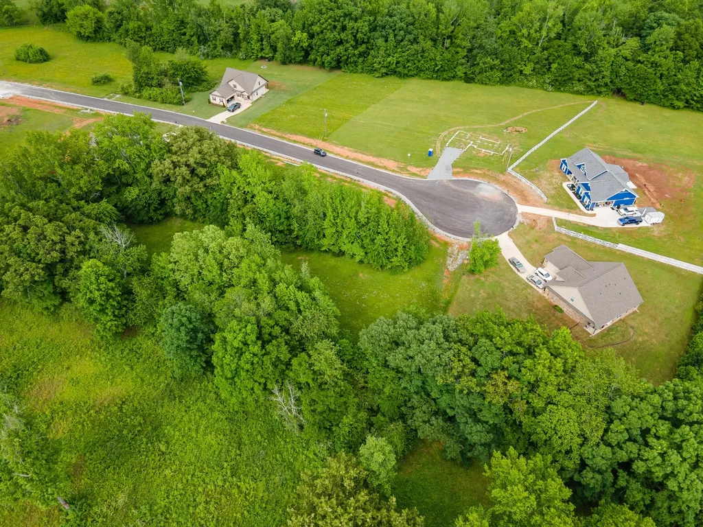 0 Cedar Grove Drive Fayetteville TN 37334