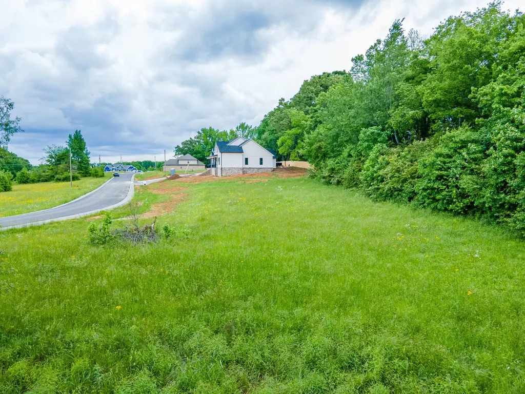 0 Cedar Grove Drive Fayetteville TN 37334