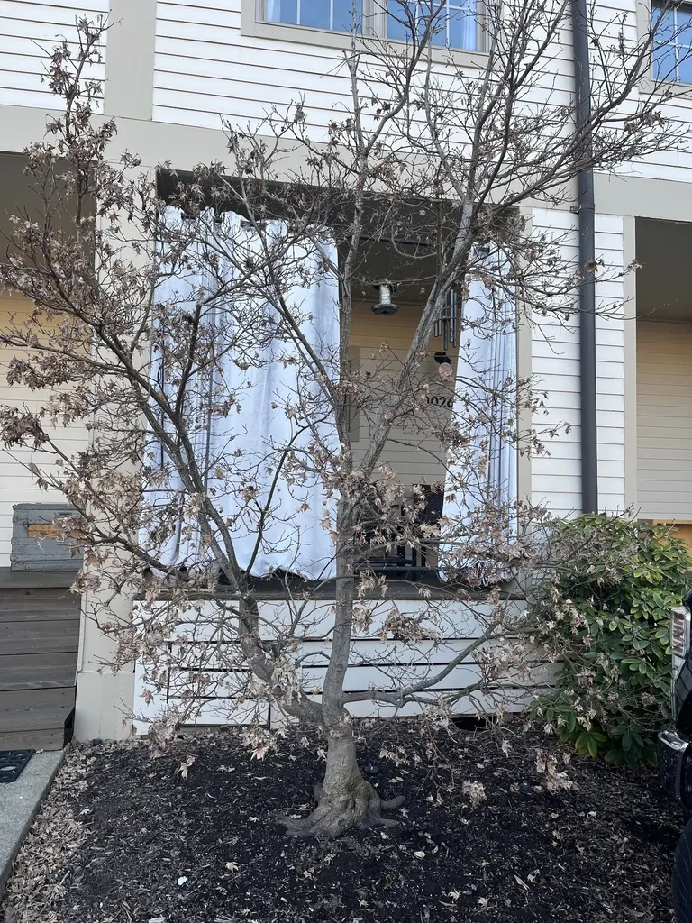 1026 9th Ave, N Nashville TN 37208