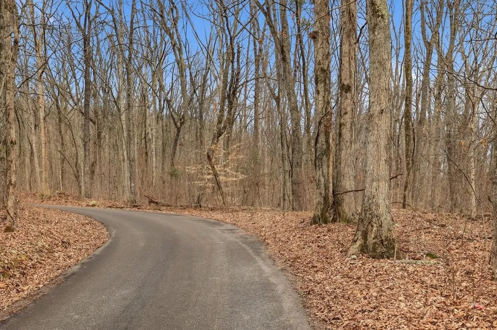 1419 Collier Loop Dandridge TN 37725