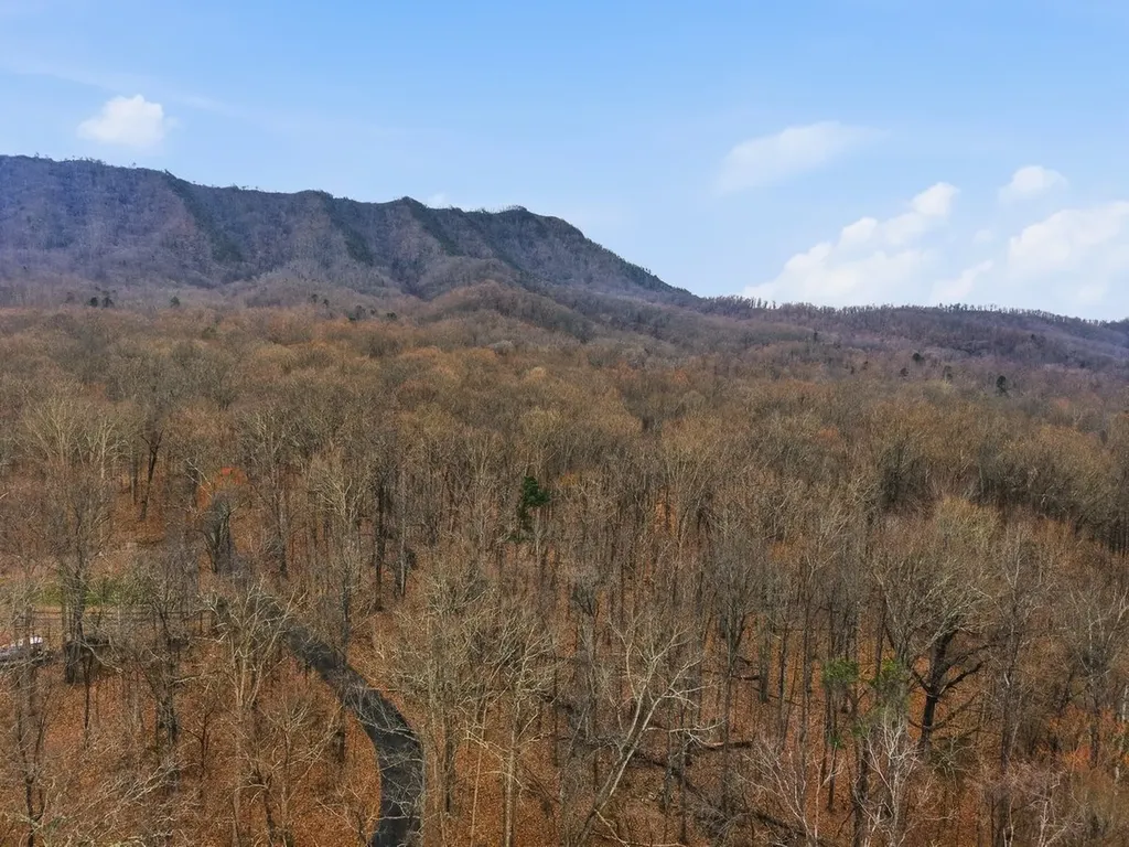 1419 Collier Loop Dandridge TN 37725