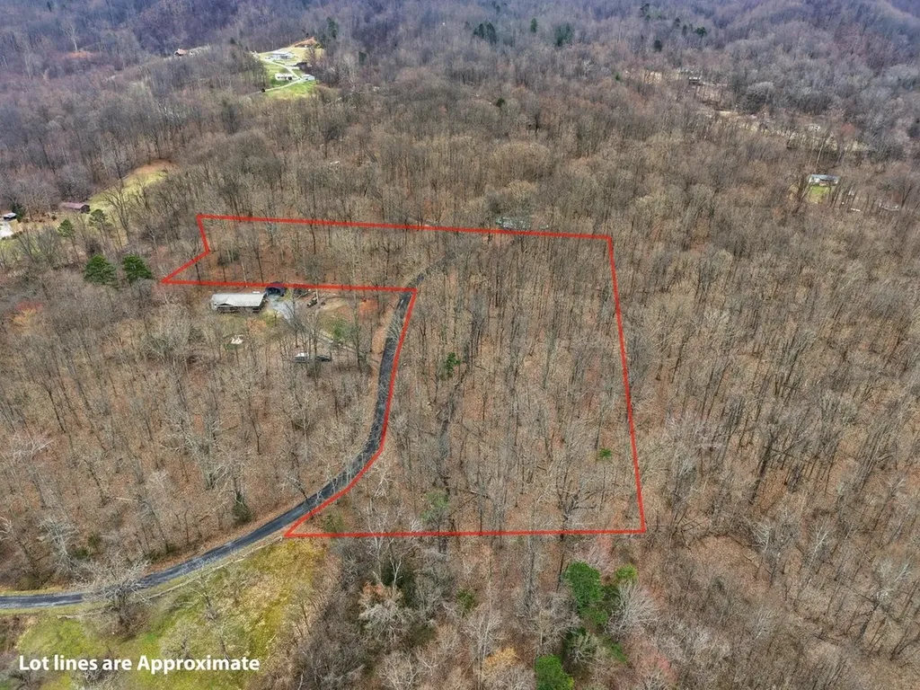 1419 Collier Loop Dandridge TN 37725