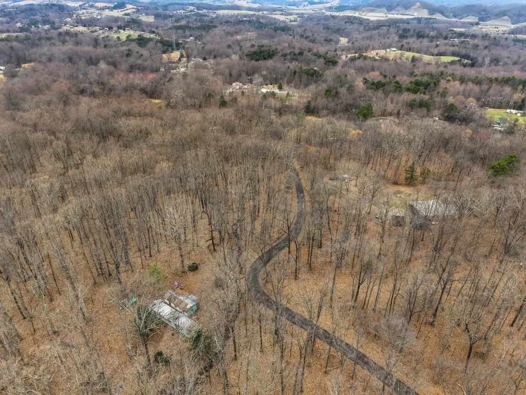1419 Collier Loop Dandridge TN 37725