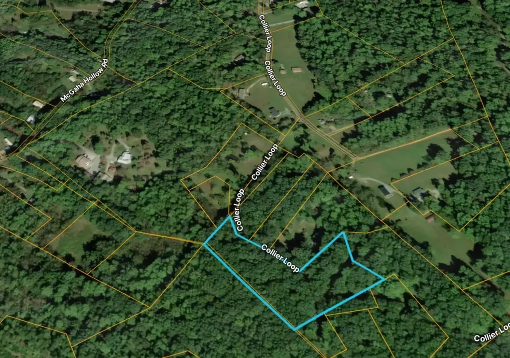 1419 Collier Loop Dandridge TN 37725