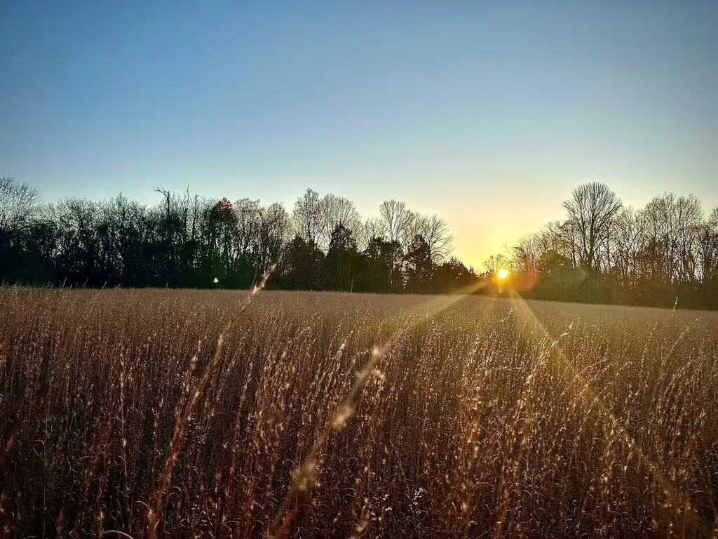 0 Owl Hollow Road Franklin TN 37064