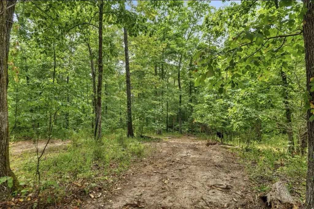 10498 Missionary Ridge Road Bon Aqua TN 37025