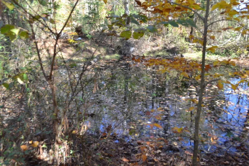0 Whitson Hollow Road Red Boiling Springs TN 37150