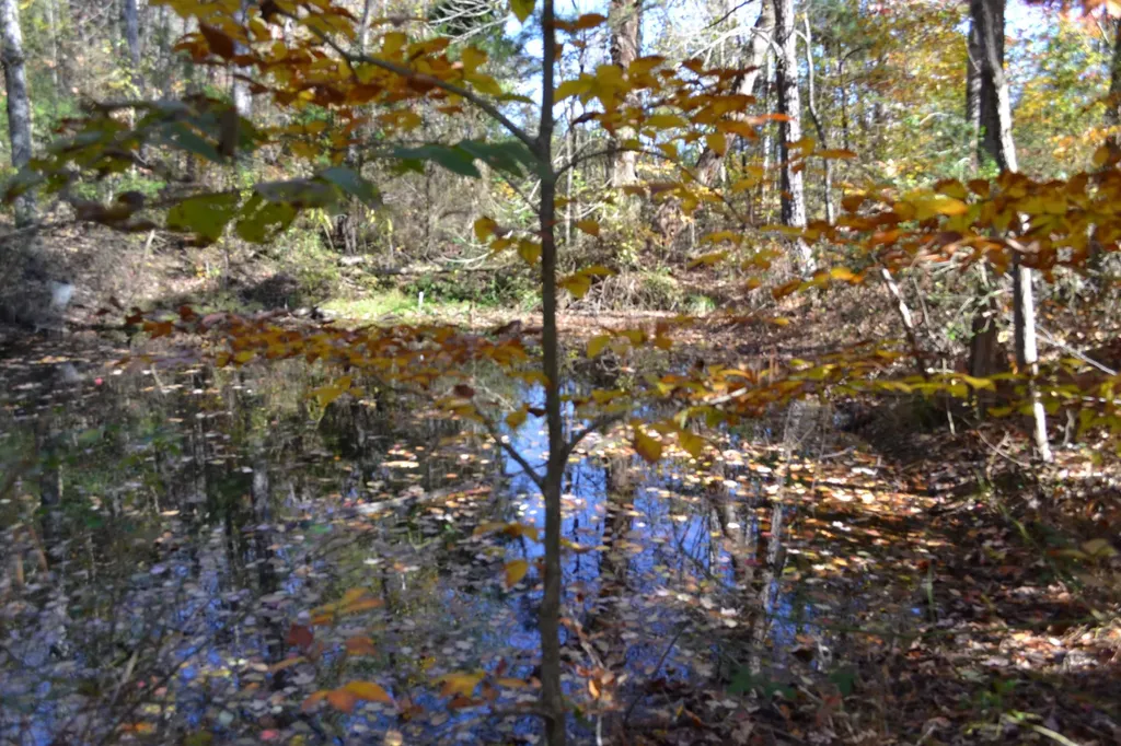 0 Whitson Hollow Road Red Boiling Springs TN 37150