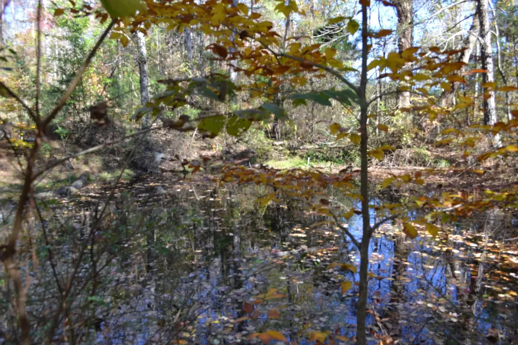 0 Whitson Hollow Road Red Boiling Springs TN 37150
