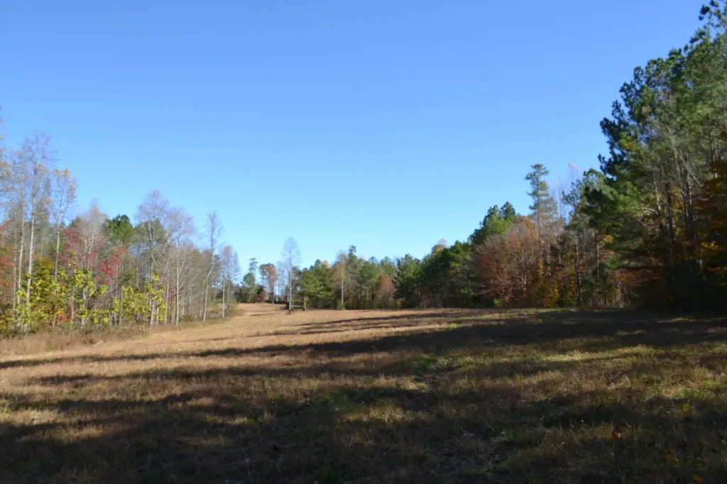 0 Whitson Hollow Road Red Boiling Springs TN 37150