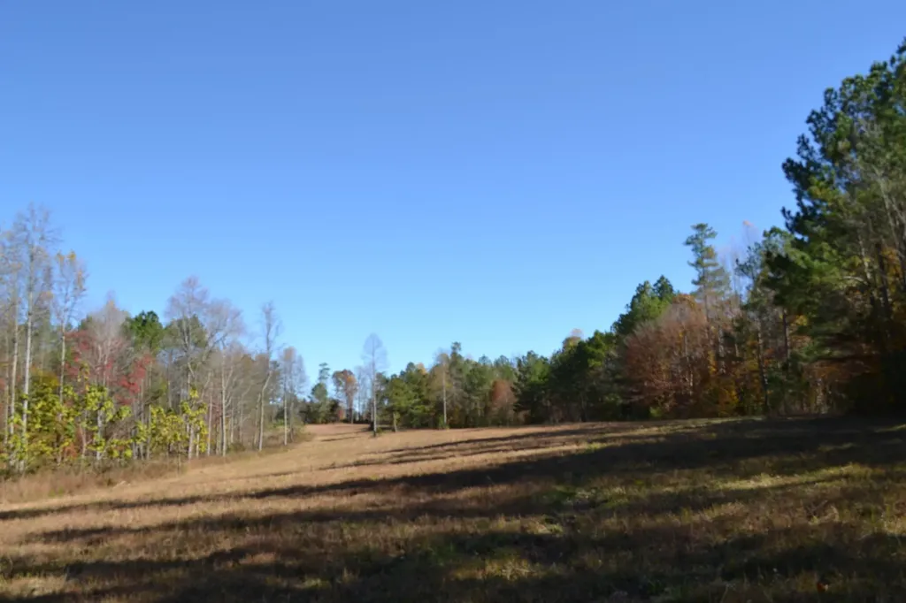 0 Whitson Hollow Road Red Boiling Springs TN 37150
