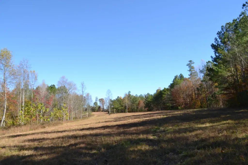 0 Whitson Hollow Road Red Boiling Springs TN 37150
