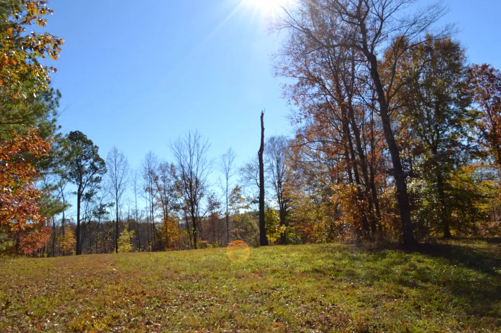 0 Whitson Hollow Road Red Boiling Springs TN 37150