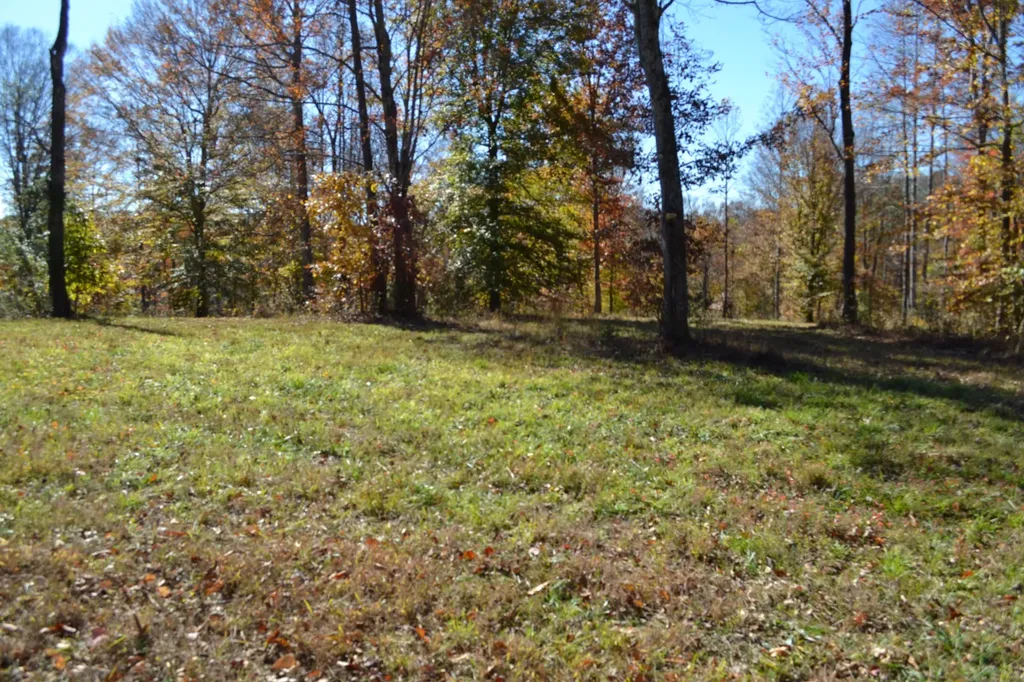 0 Whitson Hollow Road Red Boiling Springs TN 37150