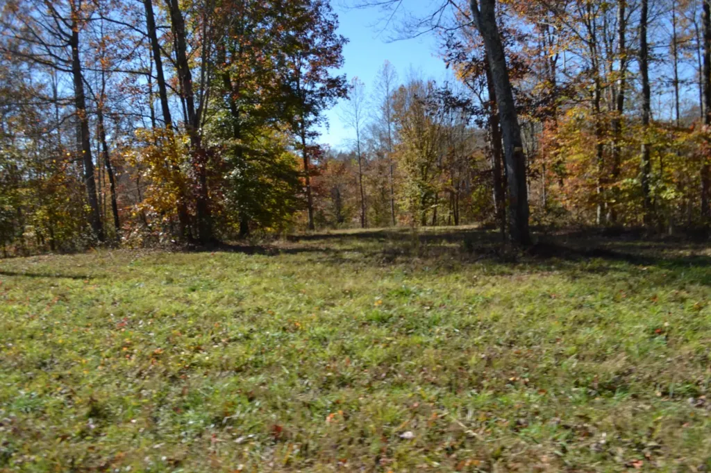 0 Whitson Hollow Road Red Boiling Springs TN 37150