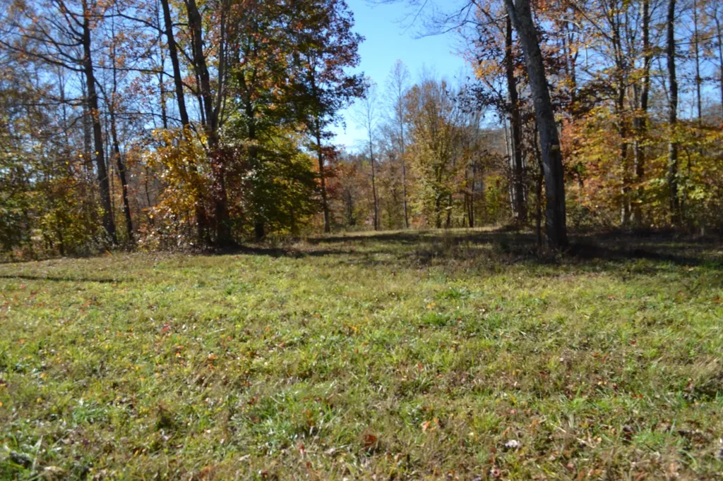 0 Whitson Hollow Road Red Boiling Springs TN 37150