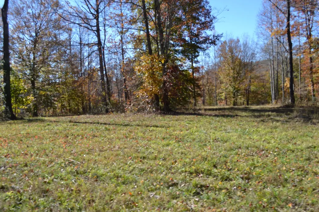 0 Whitson Hollow Road Red Boiling Springs TN 37150