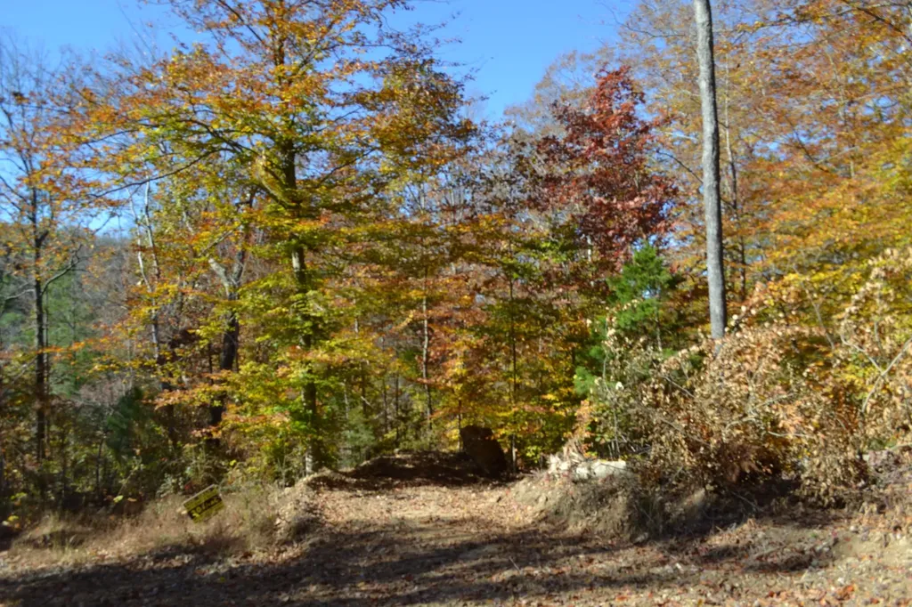 0 Whitson Hollow Road Red Boiling Springs TN 37150