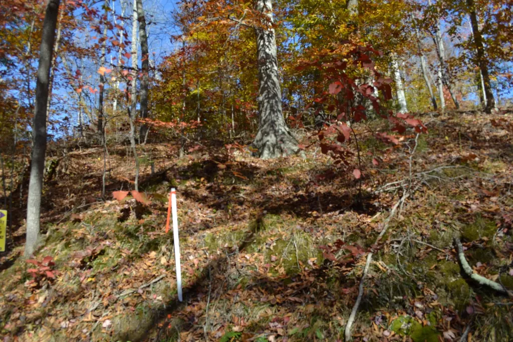 0 Whitson Hollow Road Red Boiling Springs TN 37150