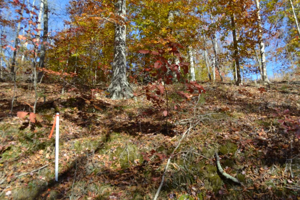 0 Whitson Hollow Road Red Boiling Springs TN 37150