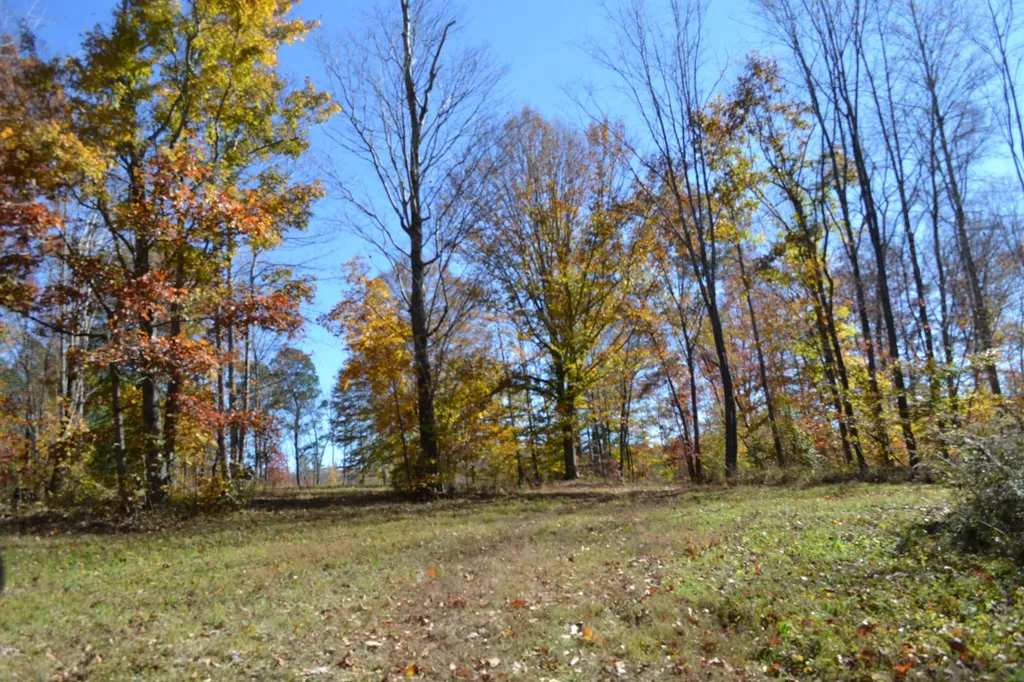 0 Whitson Hollow Road Red Boiling Springs TN 37150
