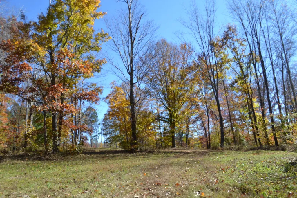 0 Whitson Hollow Road Red Boiling Springs TN 37150
