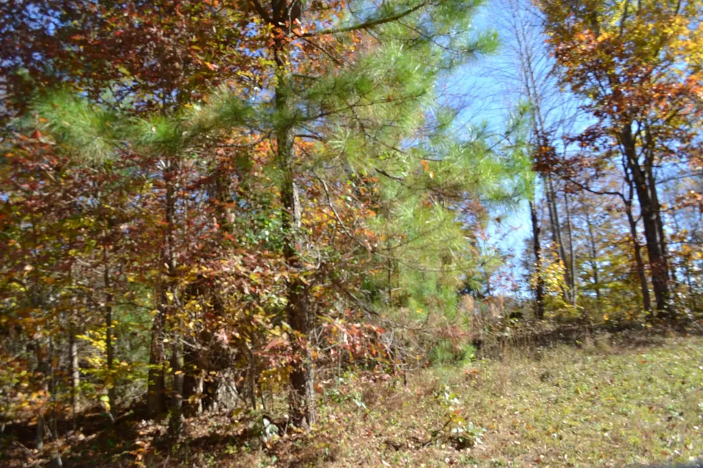 0 Whitson Hollow Road Red Boiling Springs TN 37150