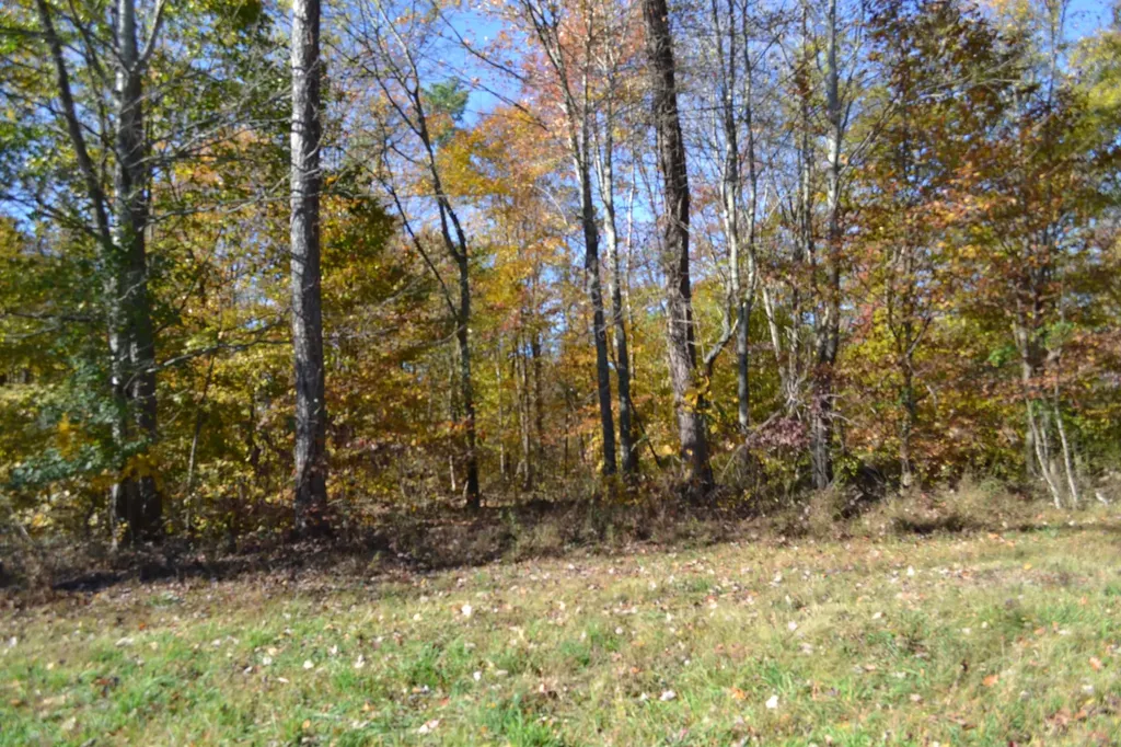 0 Whitson Hollow Road Red Boiling Springs TN 37150