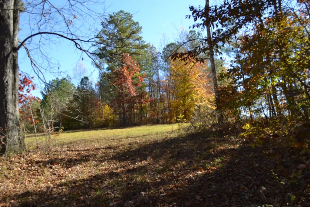 0 Whitson Hollow Road Red Boiling Springs TN 37150
