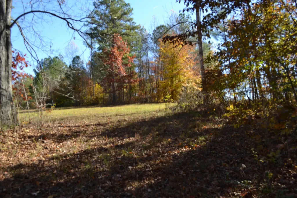0 Whitson Hollow Road Red Boiling Springs TN 37150