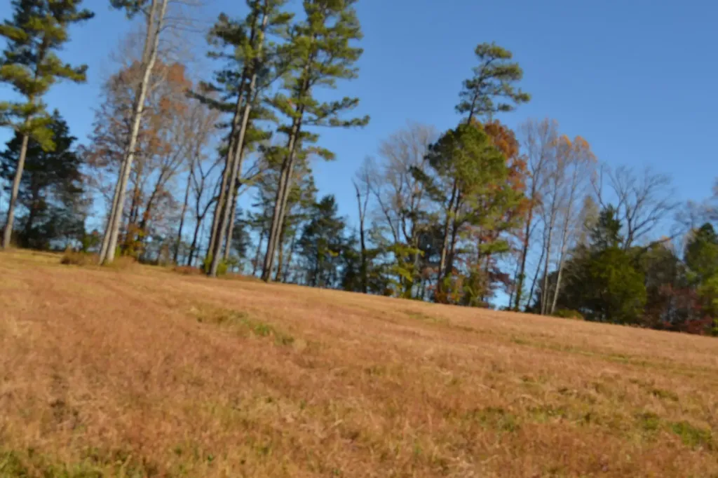 0 Whitson Hollow Road Red Boiling Springs TN 37150