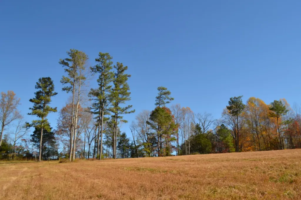 0 Whitson Hollow Road Red Boiling Springs TN 37150