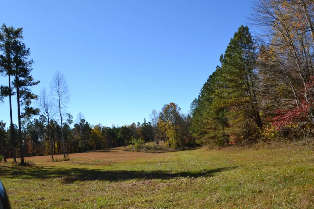 0 Whitson Hollow Road Red Boiling Springs TN 37150