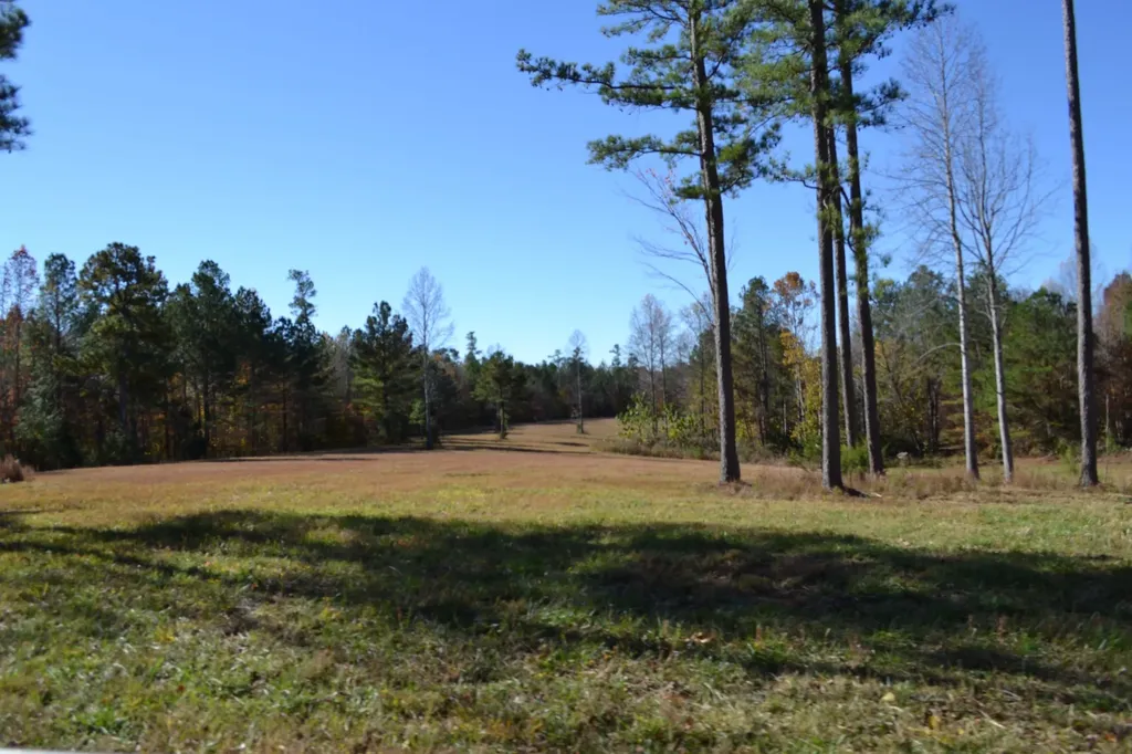 0 Whitson Hollow Road Red Boiling Springs TN 37150